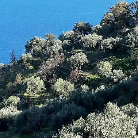 Maison De Pour 6 Personnes Holiday home Tiros