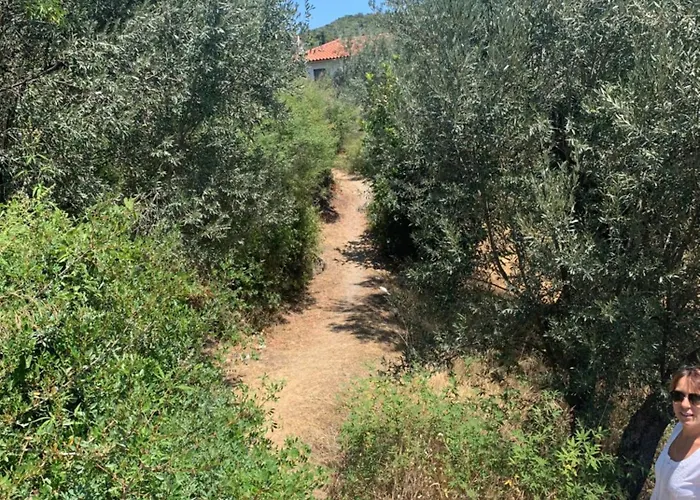 Tatil Evi Maison De Pour 6 Personnes