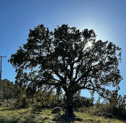 Maison De Pour 6 Personnes *