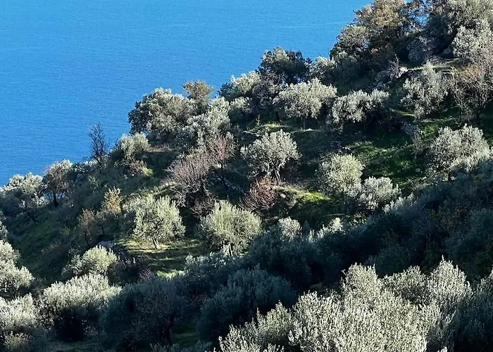 Maison De Pour 6 Personnes Tatil Evi Tirós