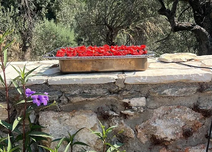 Tatil Evi Maison De Pour 6 Personnes *