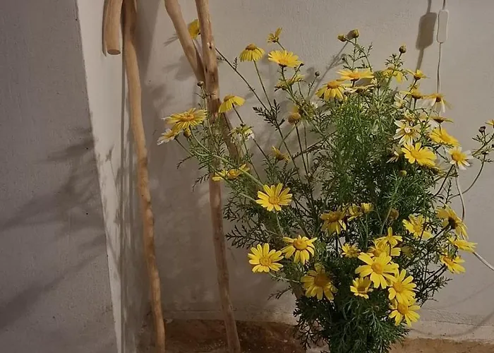 Maison De Pour 6 Personnes Tatil Evi